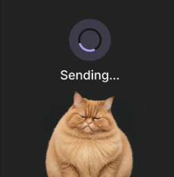 sending cat